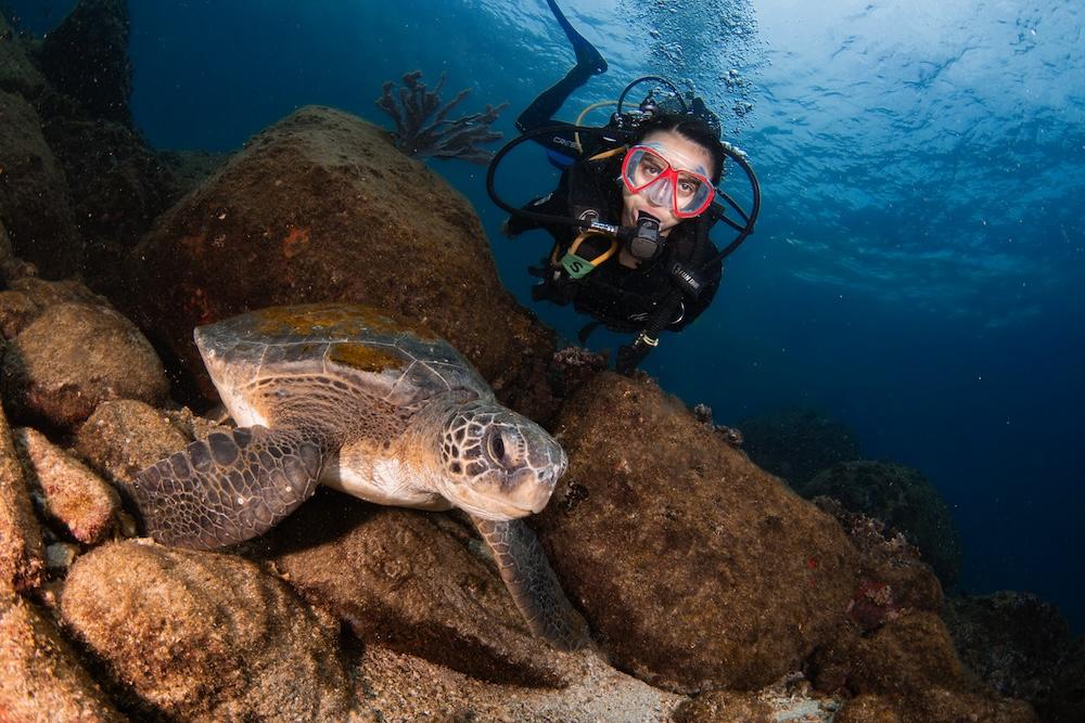 Mergulhador nadando ao lado de duas tartarugas marinhas